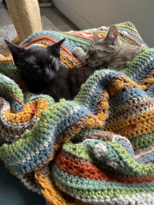 Michelle’s two cats resting together on a colorful crocheted blanket