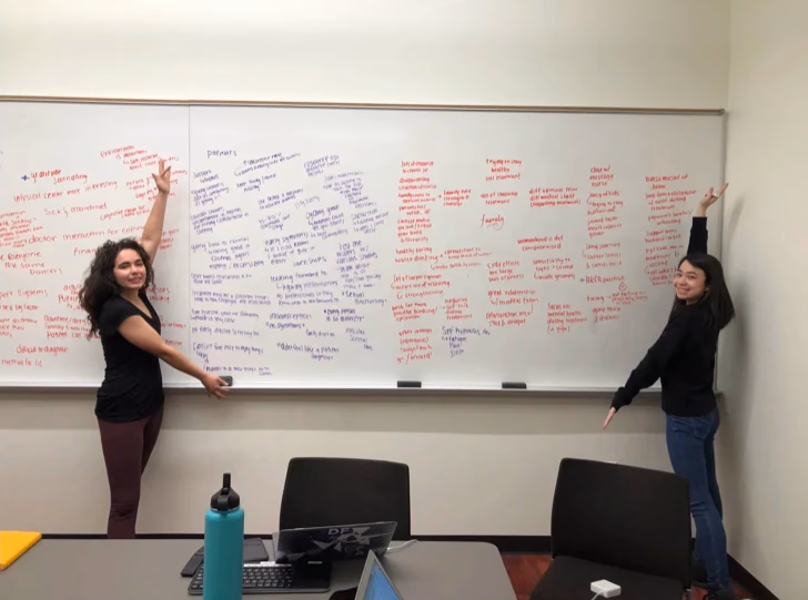 Aurora research process 1